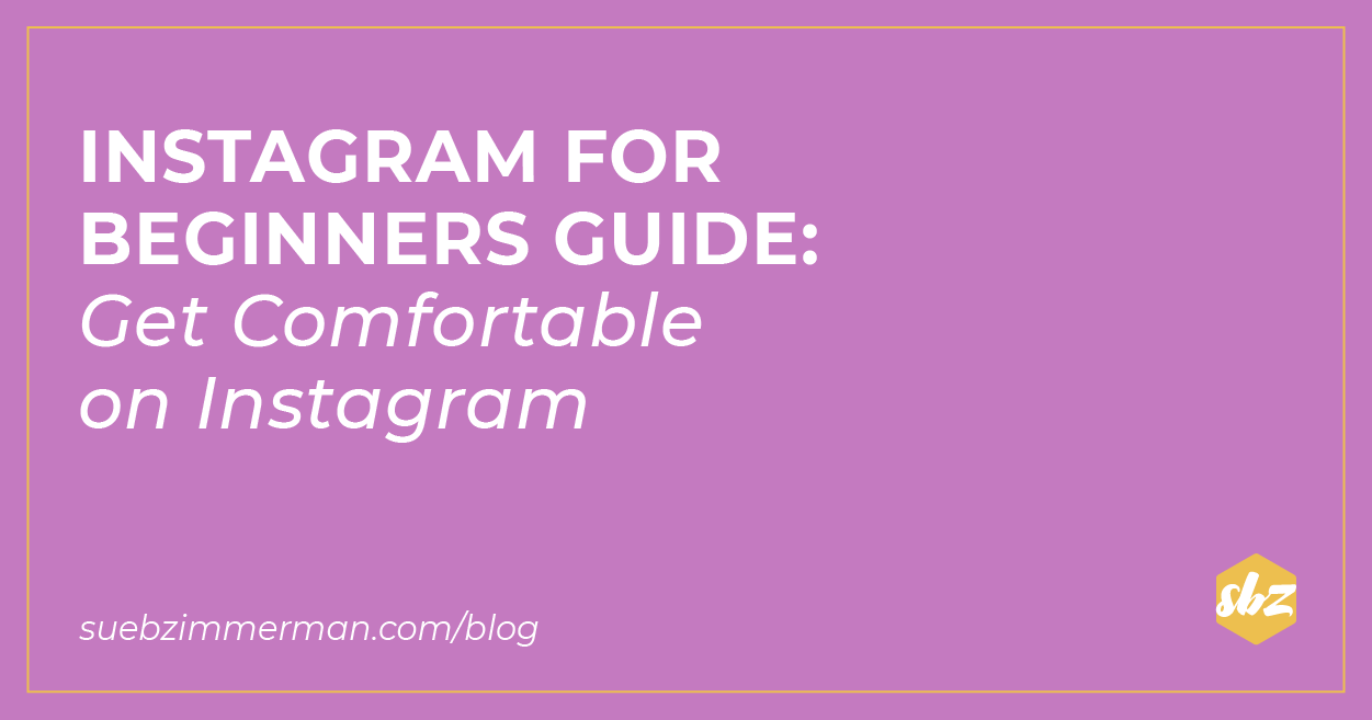 A purple blog banner with text that says instagram for beginners guide: get comfortable on Instagram.
