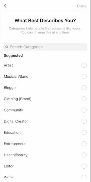 A list of Instagram™ business category options.